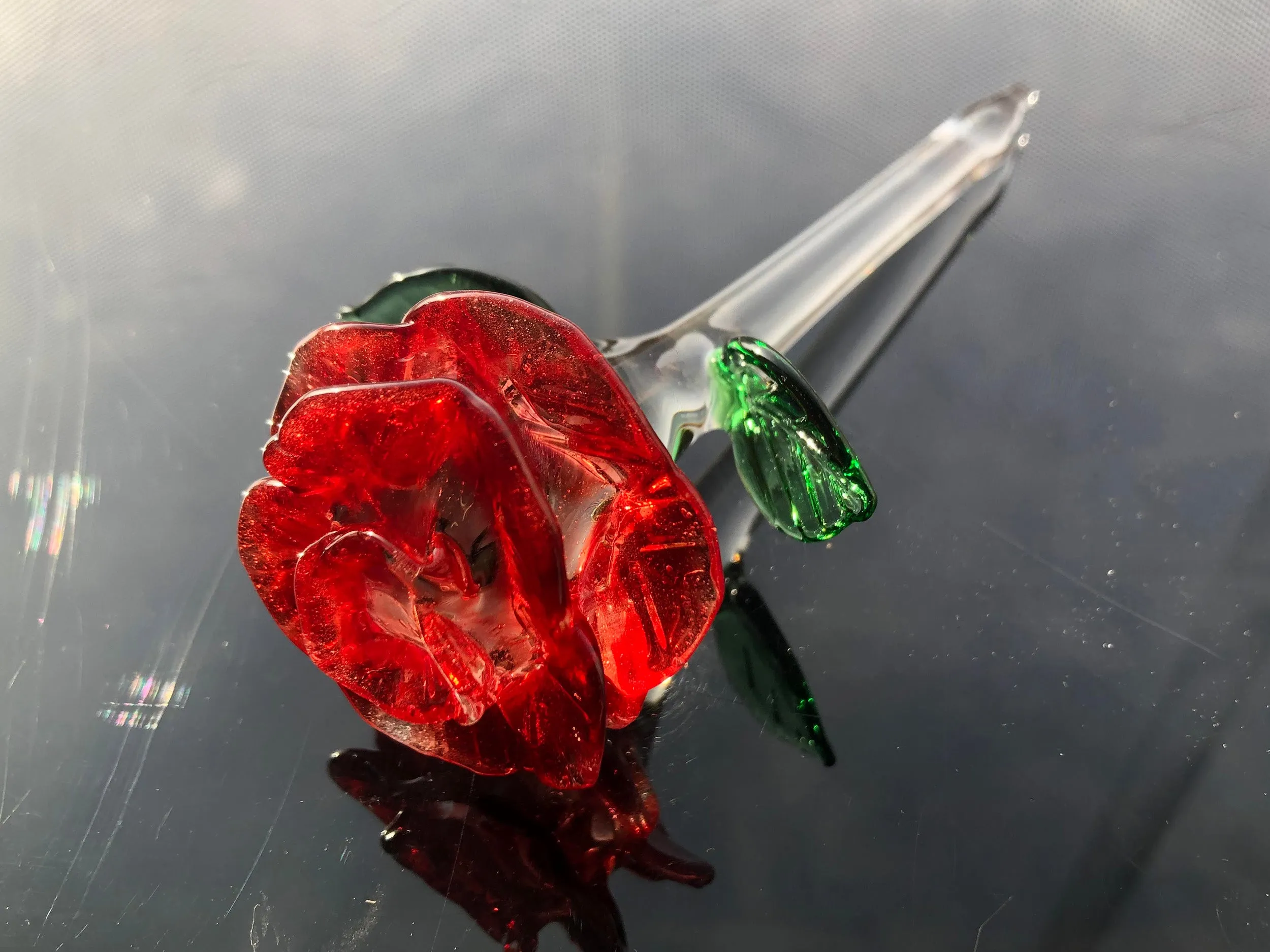 Glass Roses by Dan