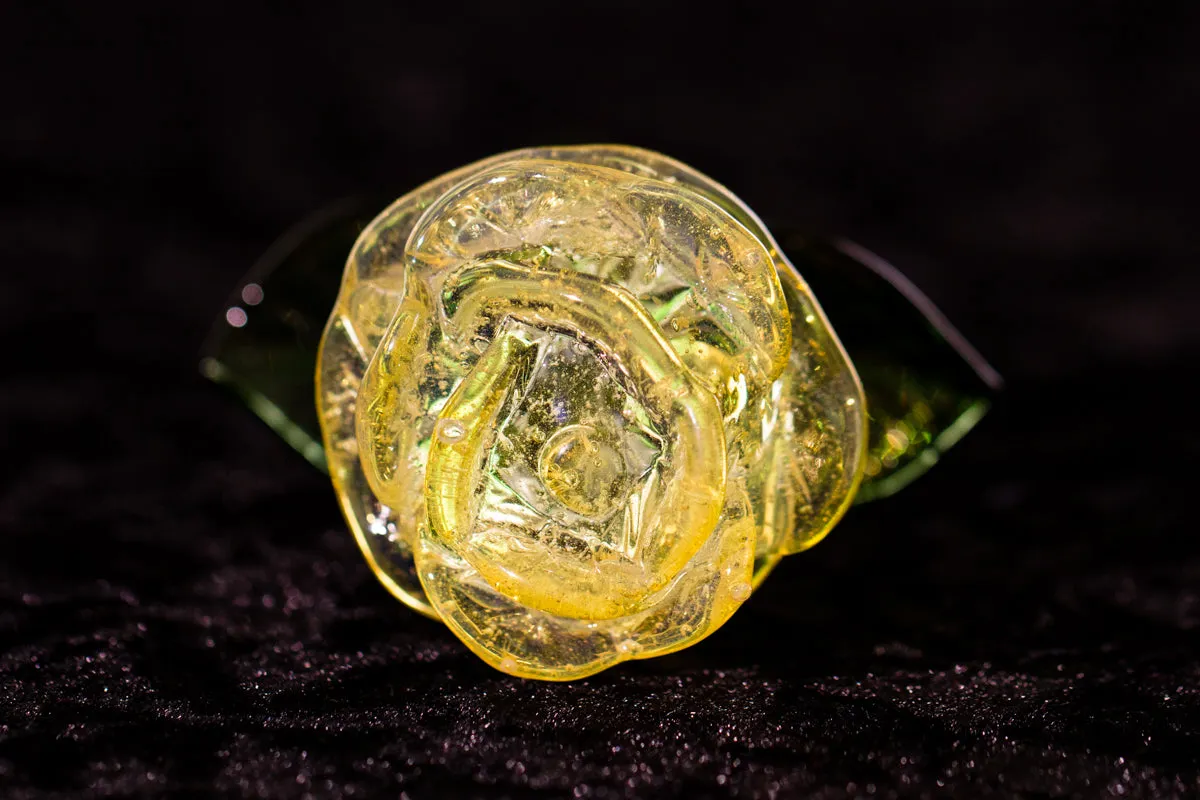 Glass Roses by Dan