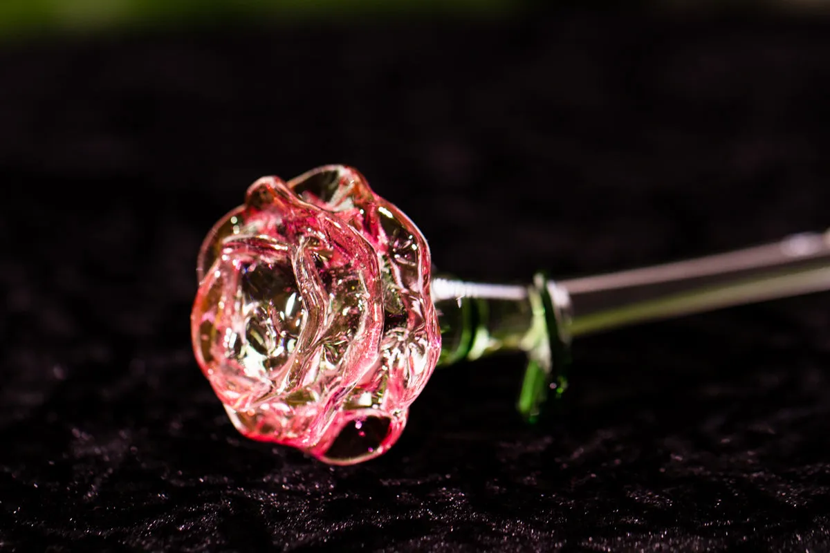 Glass Roses by Dan