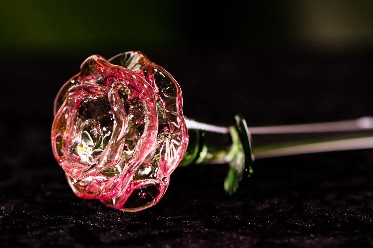 Glass Roses by Dan