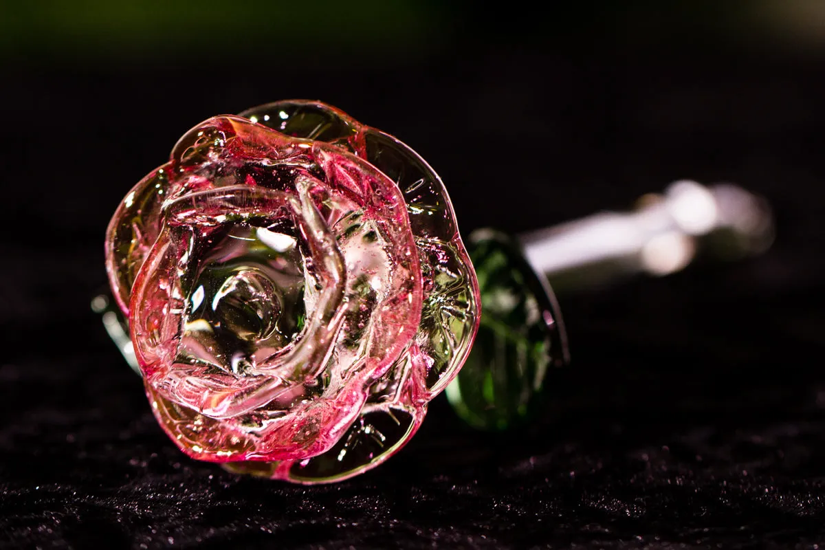 Glass Roses by Dan