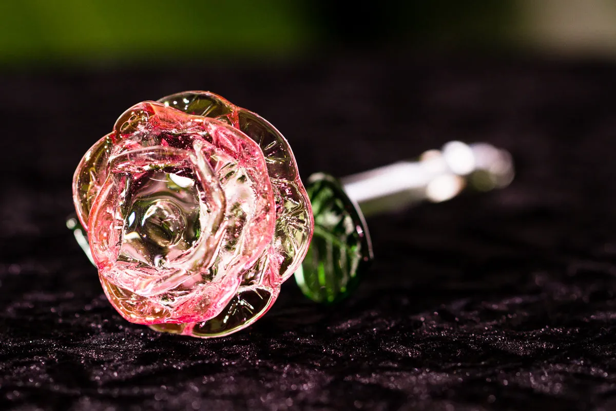 Glass Roses by Dan