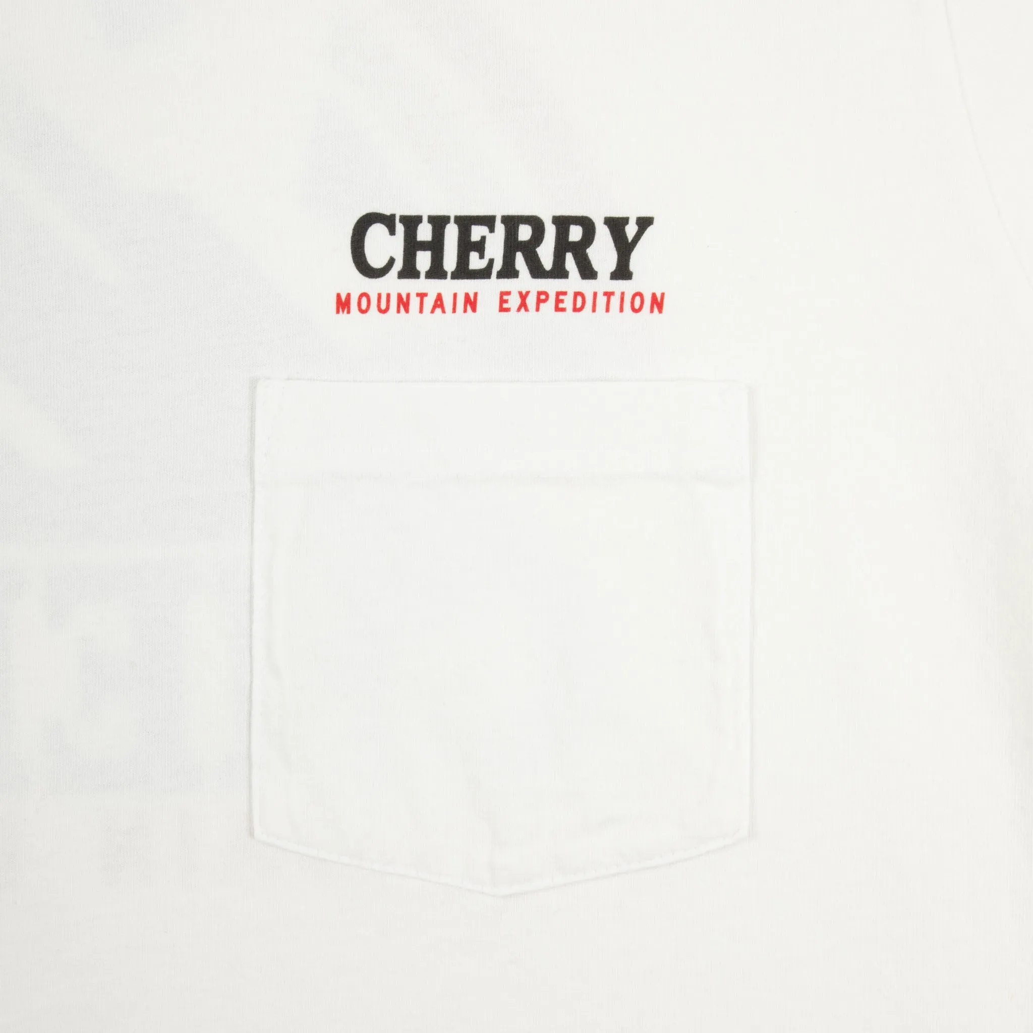 Mountain Expedition Boxy Pocket Tee (White)