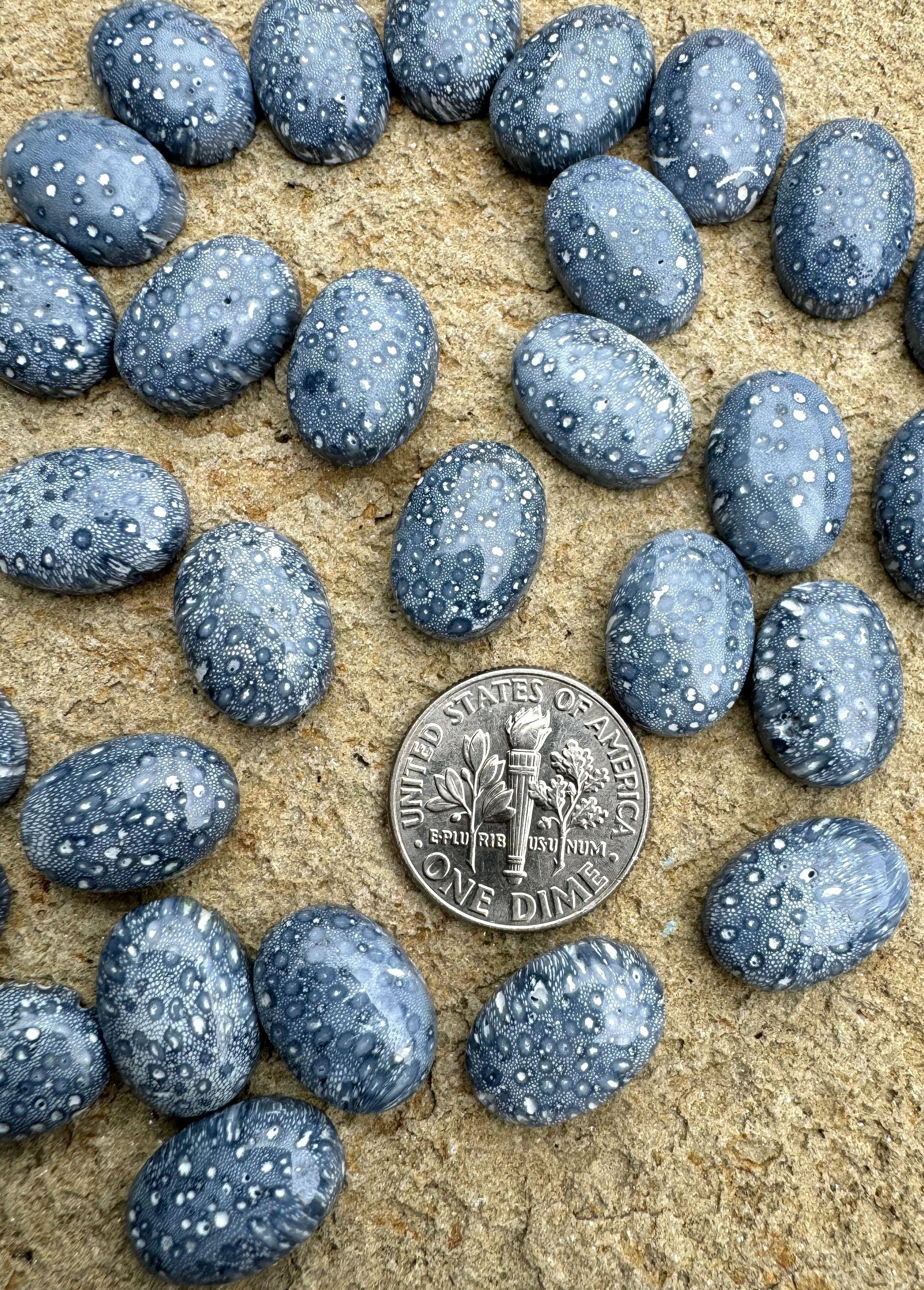 Natural Blue Sponge Coral Calibrated Oval Cabochons 10x14mm (Package of 3 Cabochons)