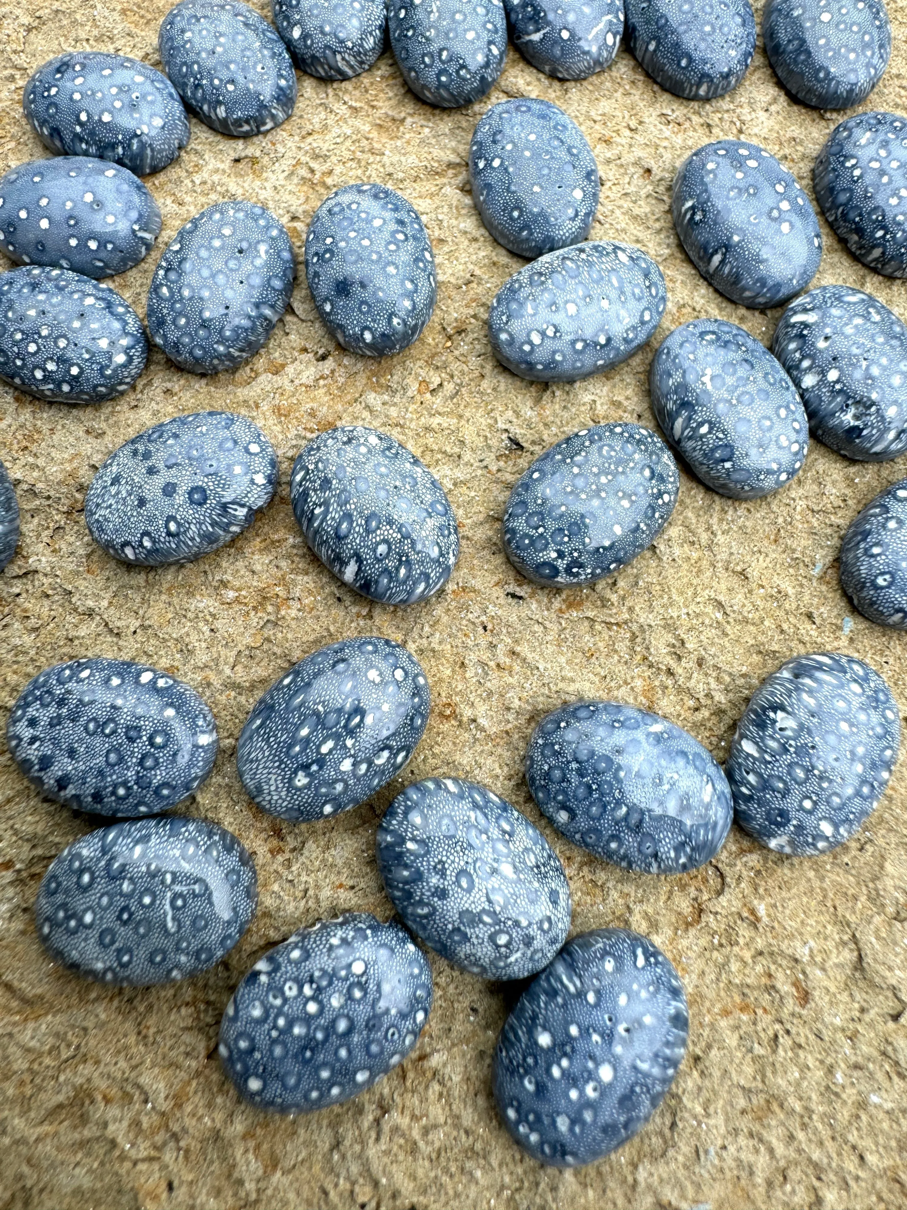 Natural Blue Sponge Coral Calibrated Oval Cabochons 10x14mm (Package of 3 Cabochons)