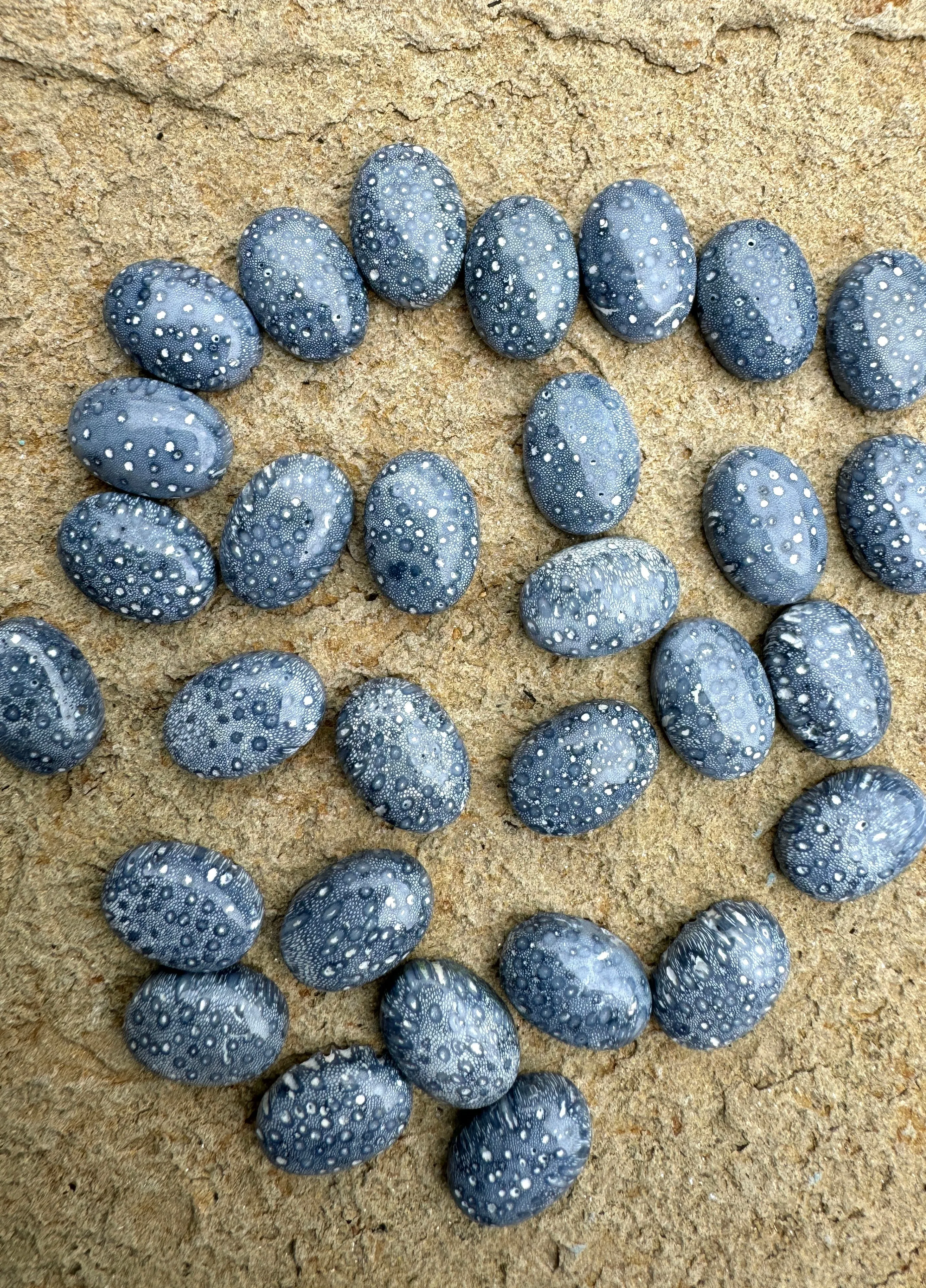 Natural Blue Sponge Coral Calibrated Oval Cabochons 10x14mm (Package of 3 Cabochons)