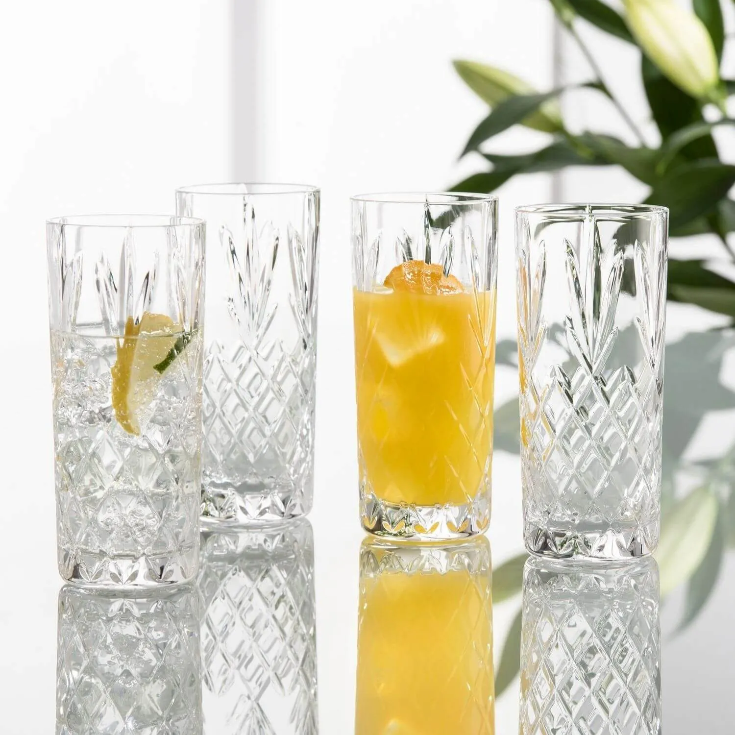 Renmore Set of 4 Highball Glasses