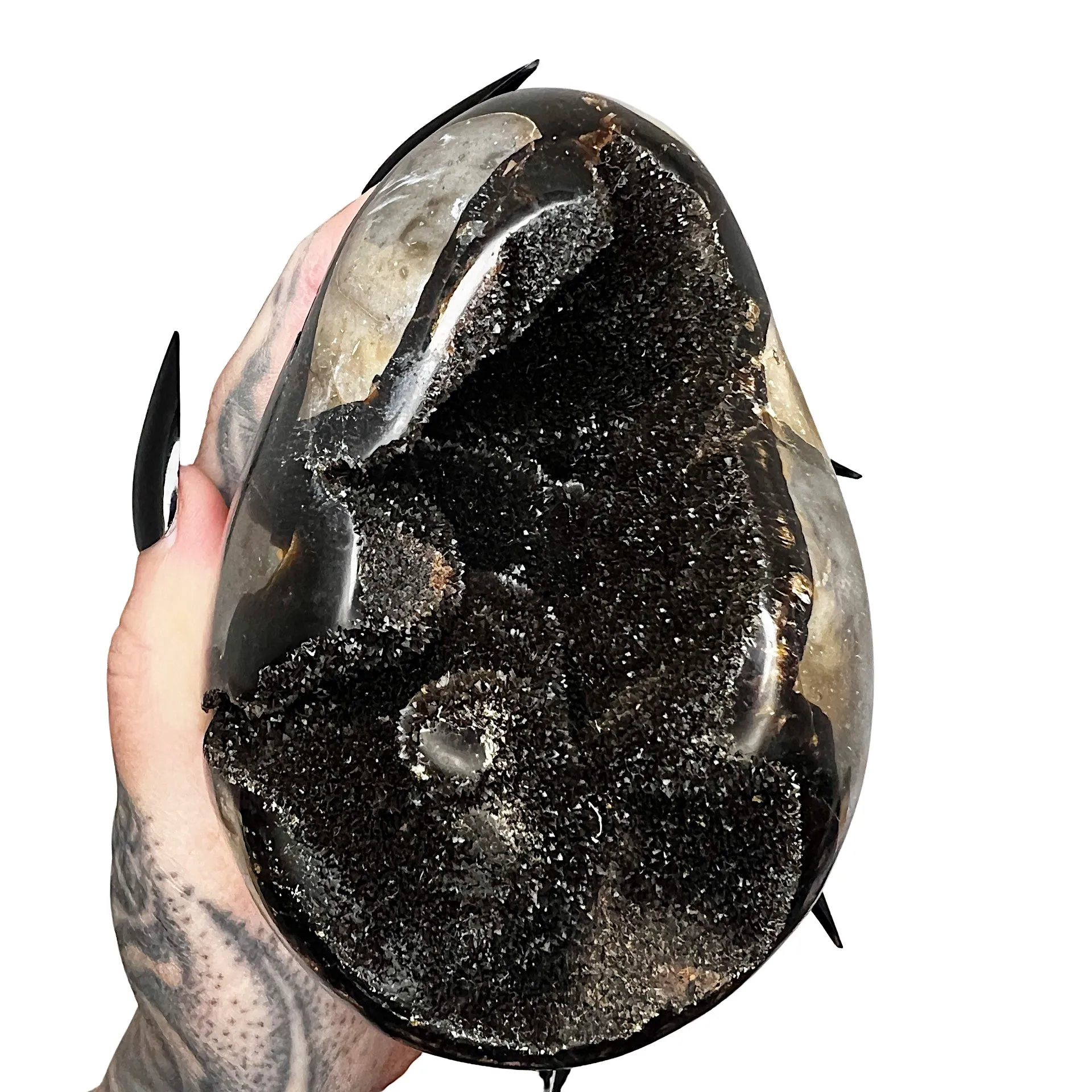 Septarian Dragon's Egg 9