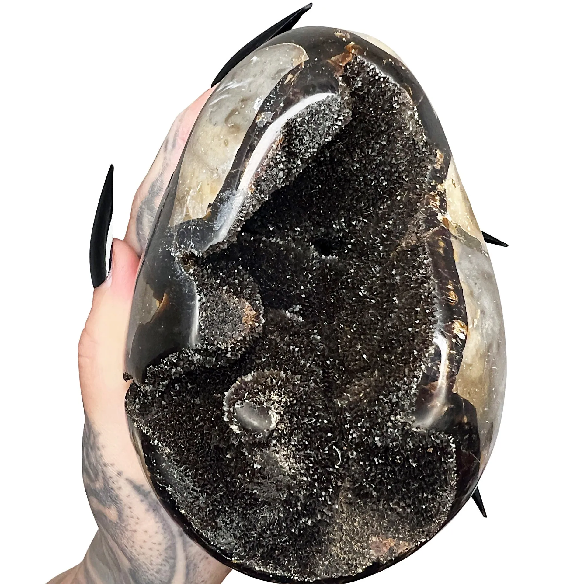 Septarian Dragon's Egg 9