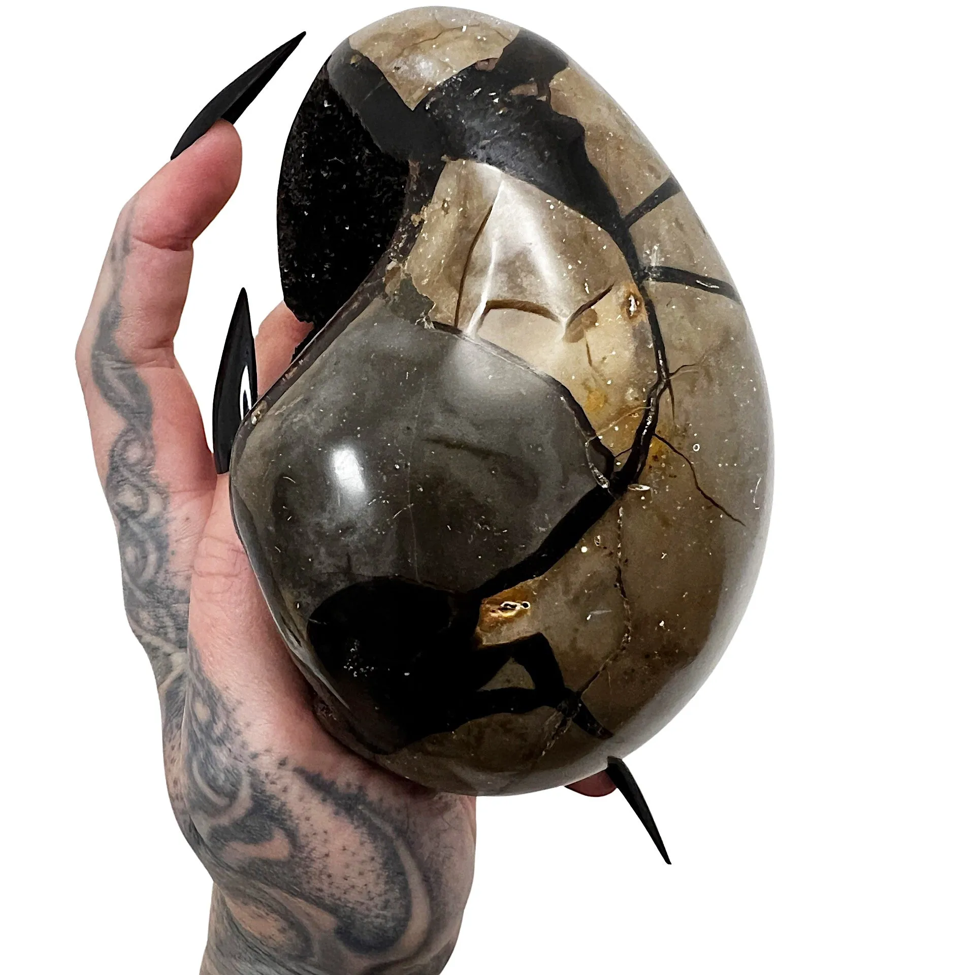 Septarian Dragon's Egg 9