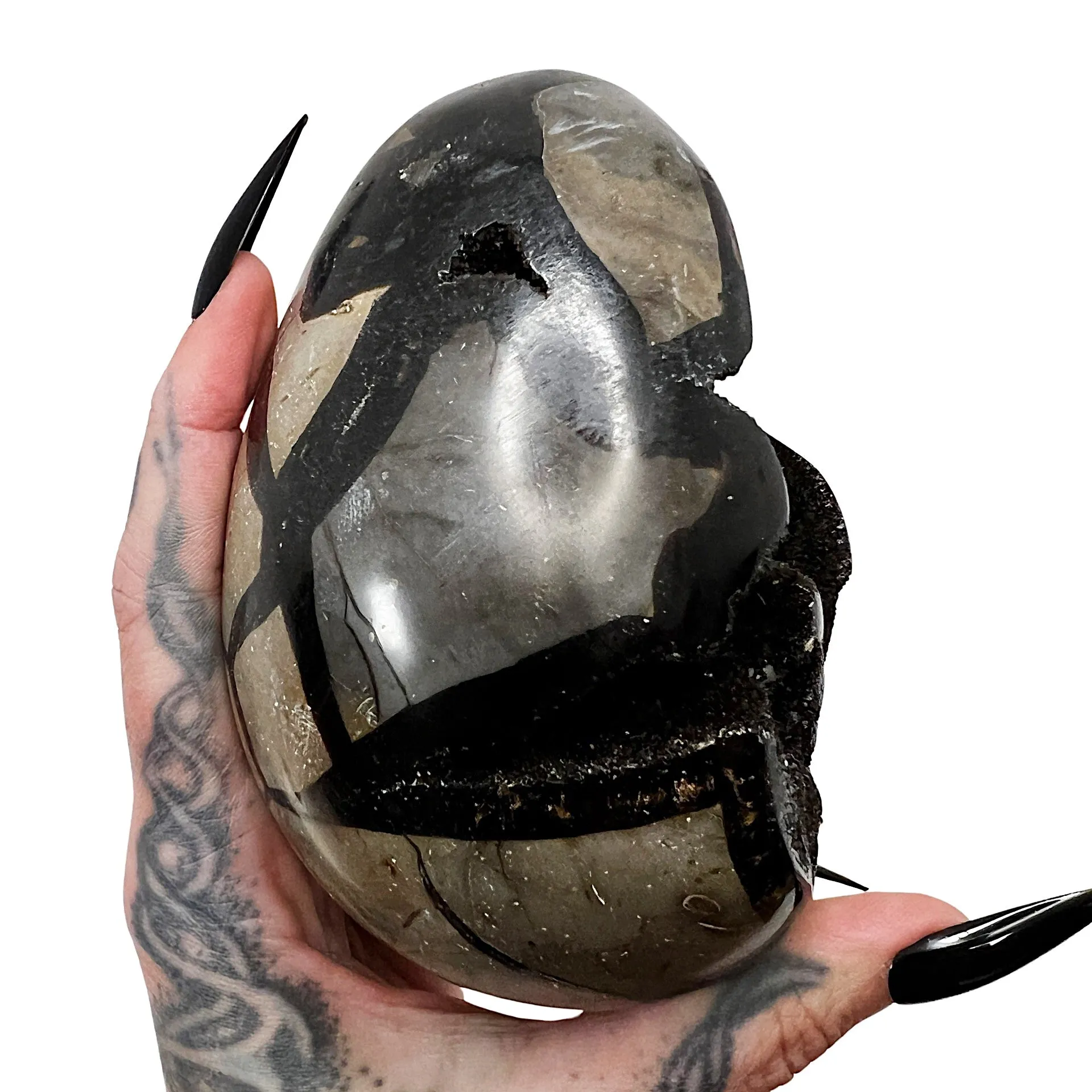 Septarian Dragon's Egg 9