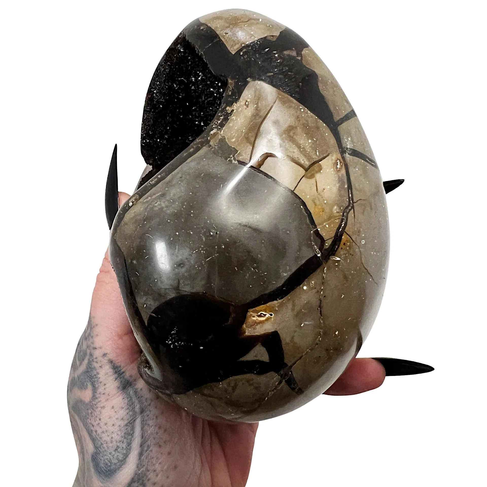 Septarian Dragon's Egg 9